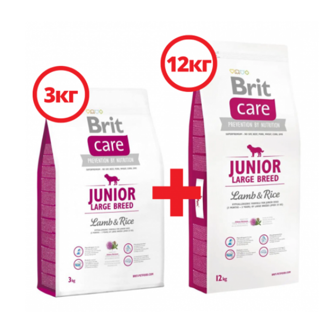 Brit care junior large breed lamb & on sale rice