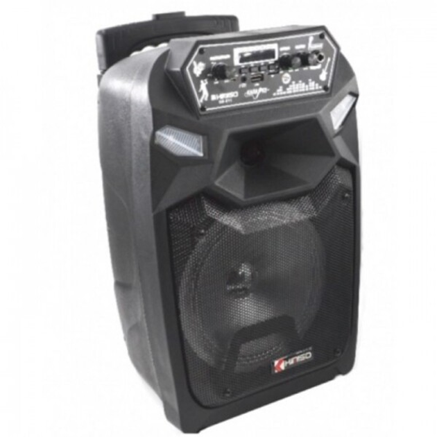 Акустическая система – комбоусилитель, с цифровым дисплеем, микрофонным ...