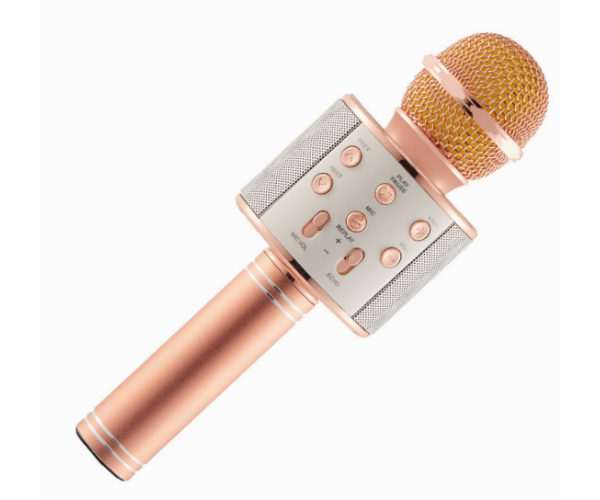 Микрофон Караоке WS858 - изображение 2