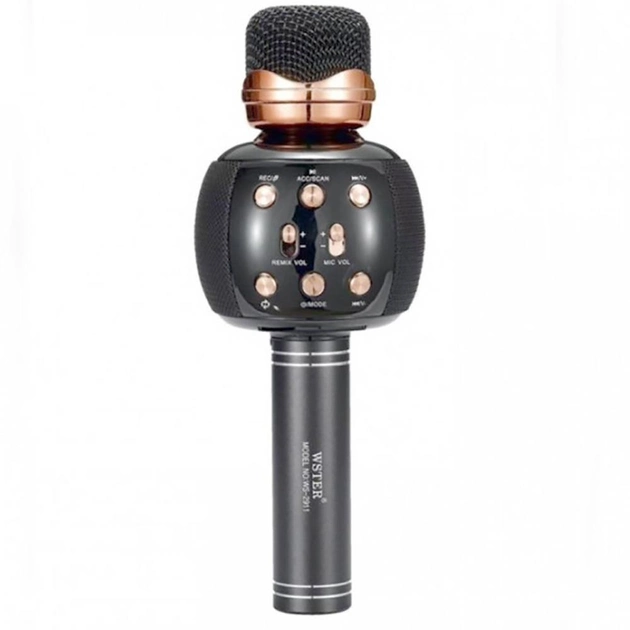 Беспроводной микрофон для караоке DM Karaoke WS-2911 Черный - изображение 2