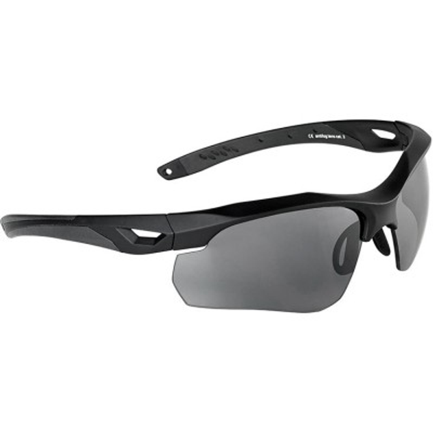 Тактичні окуляри Swiss Eye Skyray Black (40311) - зображення 1