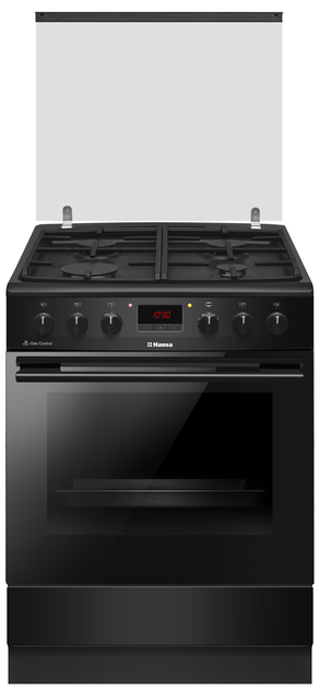 Плита комбинированная HANSA FCMS682090 - изображение 1