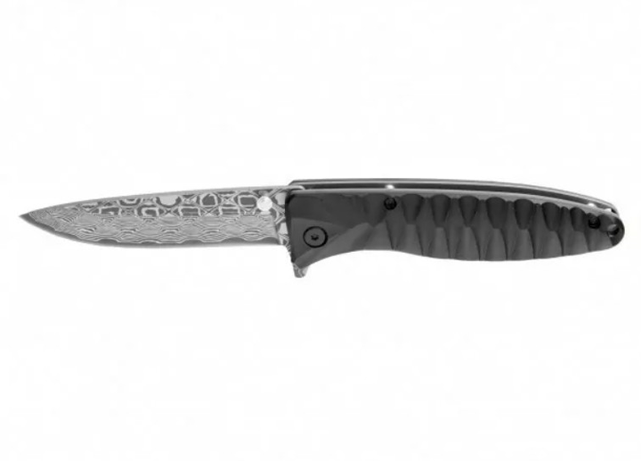 Нож складной туристический, охотничий Liner lock Firebird F620-B2 Black с травлением 205 мм - изображение 2