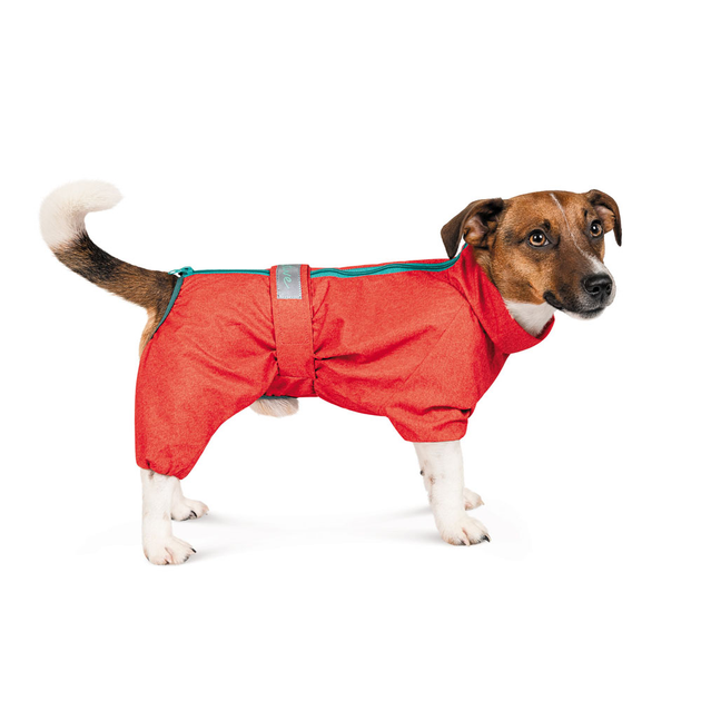 Комбінезон для собак Pet Fashion «RAIN» XS такса (червоний) – купить ...