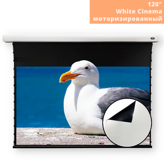 Моторизований екран для проектора VividStorm White Cinema 120" (White) білий (White Cinema 120" (White)_17999) - зображення 2