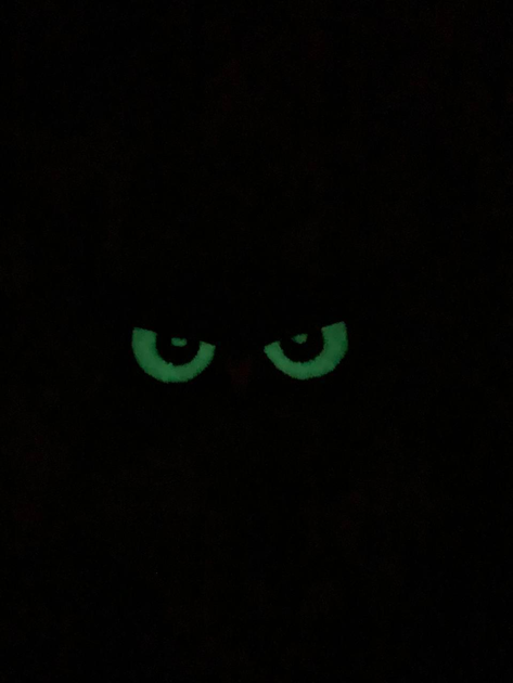Шеврон на липучке Совиные глаза 8см х 4см олива (12012) - изображение 2