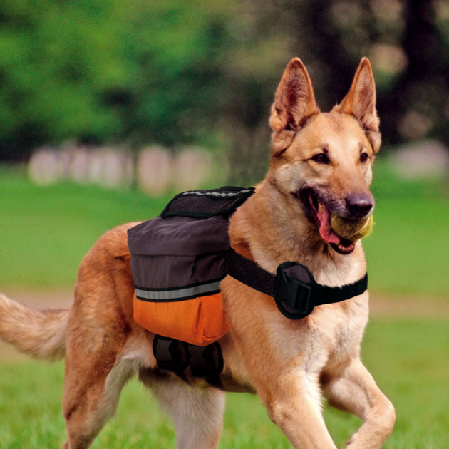 Ferplast Dog Scout, Вьючная сумка для собак от продавца: Green Zoo – в ...