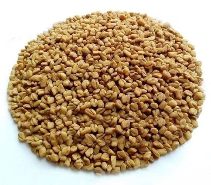 Пажитник сінний Шамбала (насіння) 0,25 кг - зображення 1