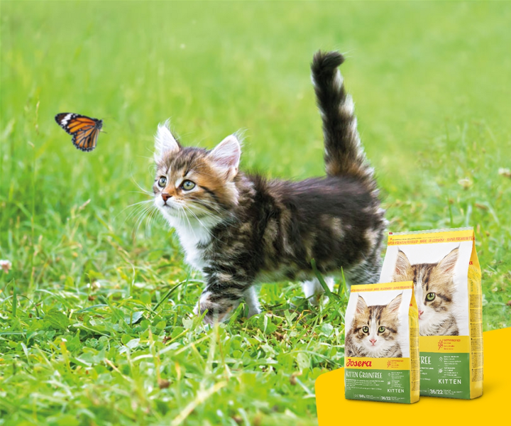 Сухий корм для кошенят Josera kitten grainfree 400 г (4032254755012) - зображення 3