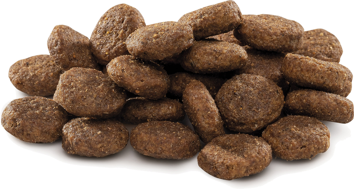 Сухий корм для цуценят та молодих собак великих порід Brit Premium Junior L зі смаком курки 3 кг (8595602526420) - зображення 2