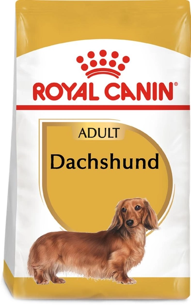 Royal Canin Dachshund Adult sucha karma pełnoporcjowa dla jamników w wieku od 10 miesięcy i powyżej 1,5 kg (3182550717335) (3059015) - obraz 1