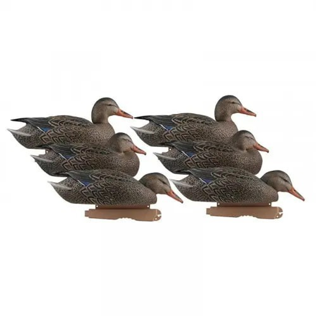 Опудала качок GHG Greenhead Pro-Grade Early Season Hen 6шт. - зображення 1