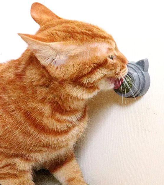 Кошачья мята шарик - лизун для котов Вкусняшка CatNip – купить онлайн ...