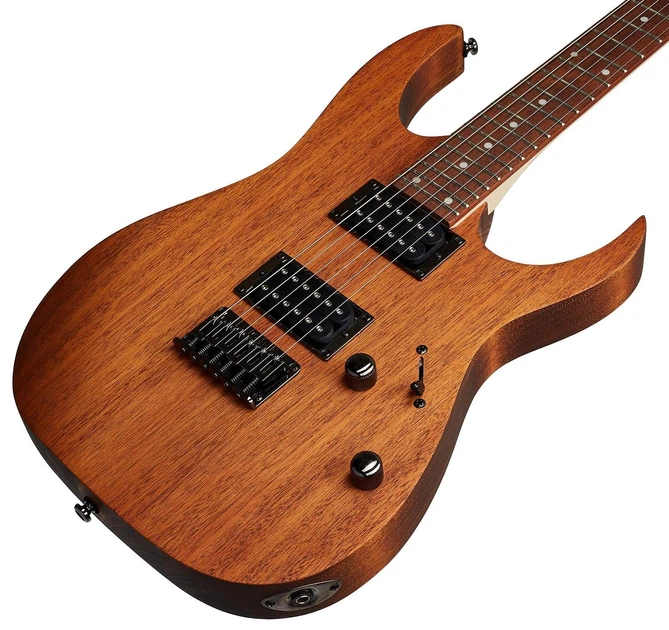 Электрогитара Ibanez RG421 MOL - изображение 4