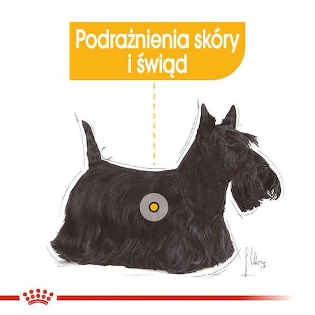 Opakowanie mokrej karmy dla psów Royal Canin Dermacomfort 12 szt x 85 g (9003579008812) - obraz 7
