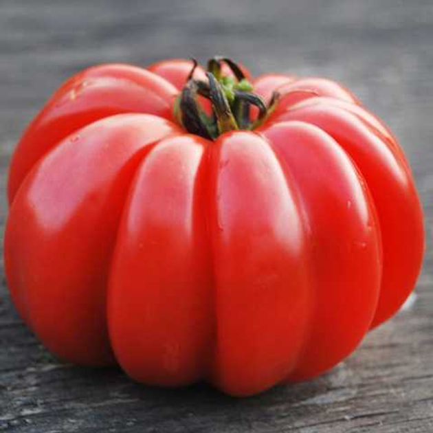 Насіння Томат Грибний лук, 0,15 г (GL Seeds) - зображення 2