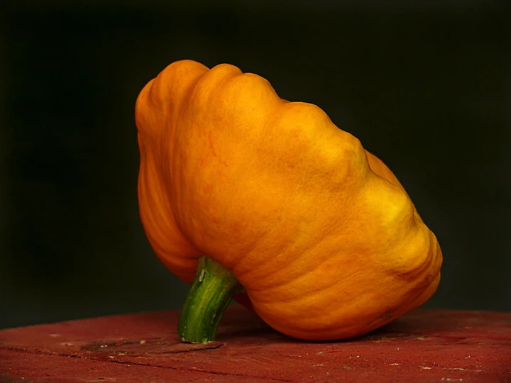 Семена Патиссон НЛО, 3 г (GL Seeds) - Фото 3 Семена Патиссон НЛО, 3 г (GL Seeds) - изображение 3