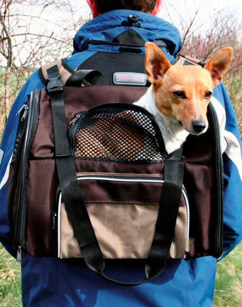 Рюкзак-переноска для собак і кішок Trixie Shiva Backpack 41 х 30 x 21 см до 8 кг Бежево-коричневий (4011905288710) - зображення 2