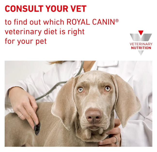 Mokra karma dla dorosłych psów Royal Canin Recovery 195 g (9003579307717) - obraz 6