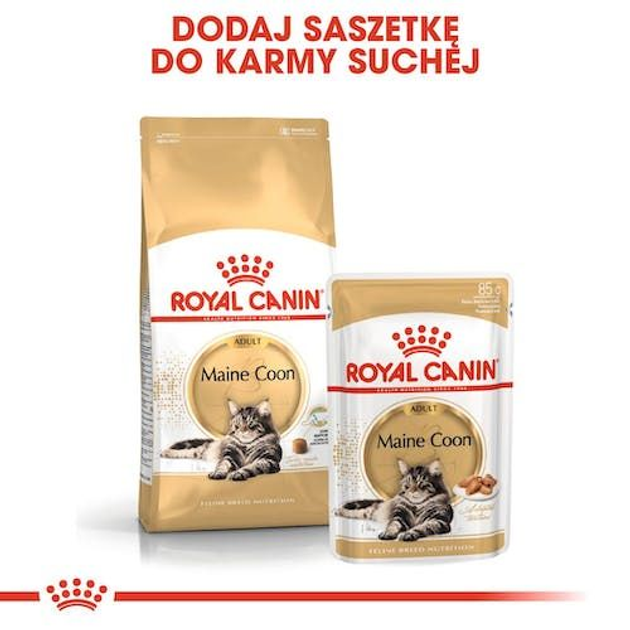 Упаковка вологого корму для дорослих кішок ROYAL CANIN Maine Coon 12 x 85 г (9003579001202) - зображення 8