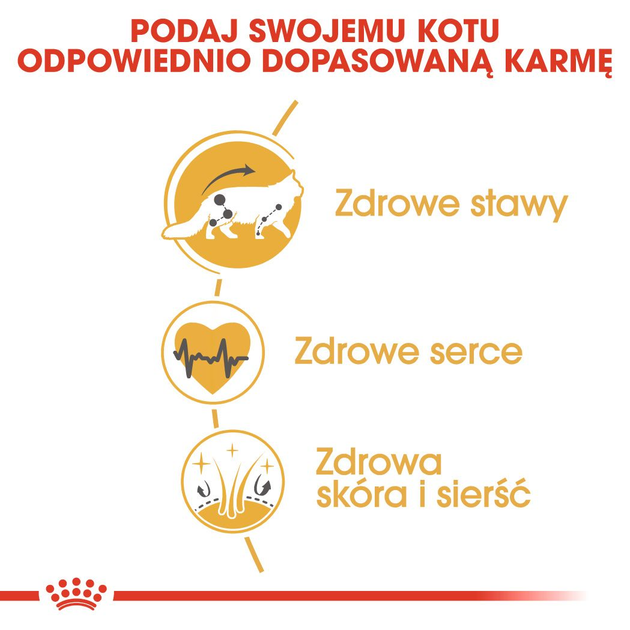 Упаковка вологого корму для дорослих кішок ROYAL CANIN Maine Coon 12 x 85 г (9003579001202) - зображення 7