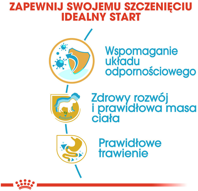 Sucha karma pełnoporcjowa dla szczeniąt Royal Canin Labrador Retriever Puppy dla labradorów do 15 miesiąca życia 12 kg (3182550725514) (24911201) - obraz 4