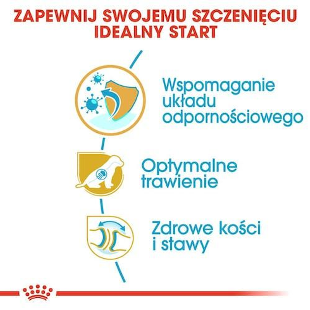 Сухий повнораційний корм для цуценят Royal Canin German Shepherd Puppy собак породи німецька вівчарка віком до 15 місяців 12 кг (3182550724159) (25191201) - зображення 5