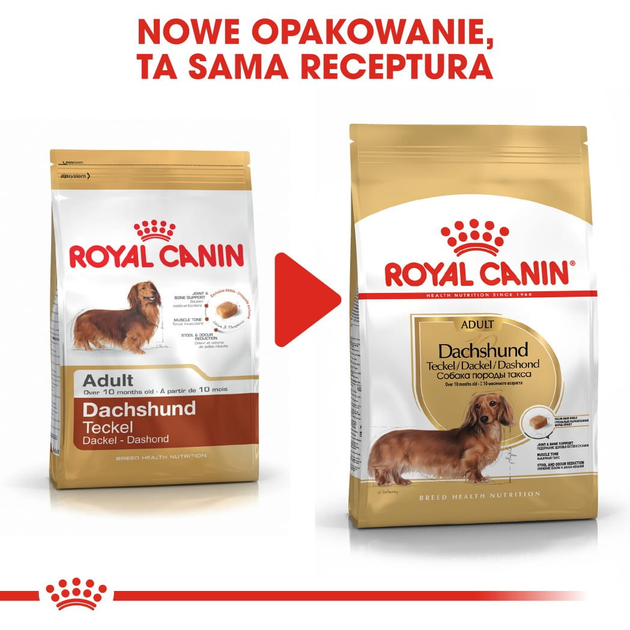 Sucha karma pełnoporcjowa dla psów Royal Canin Dachshund Adult dla rasy jamnik w wieku od 10 miesięcy i starsze 1.5 kg (3182550717335) (3059015) - obraz 6