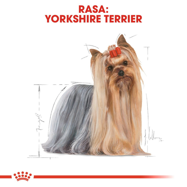 Sucha karma pełnoporcjowa dla dorosłych psów Yorkshire Terrier Royal Canin Yorkshire Terrier Adult od 10 miesiąca życia 1,5 kg (3182550716857) (3051015) - obraz 4