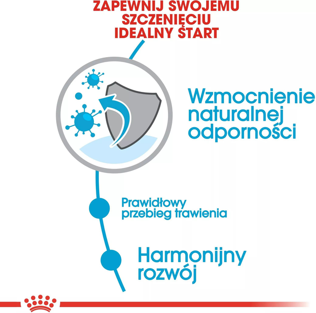 Сухий корм для цуценят дрібних порід Royal Canin Puppy Mini до 10 місяців 2 кг (3182550793001) (91119) (30000202) - зображення 4