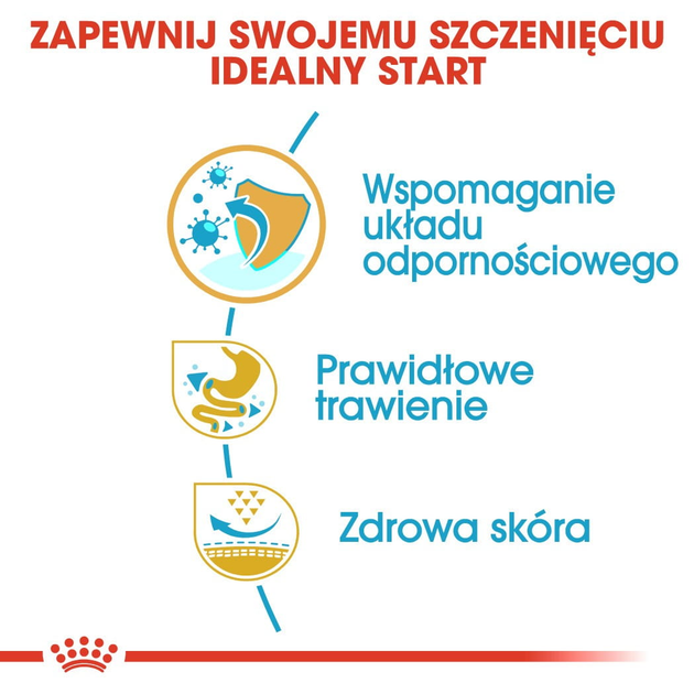 Сухий корм для цуценят Французький бульдог Royal Canin Puppy 3 кг (3182550811705) (3990030) - зображення 4