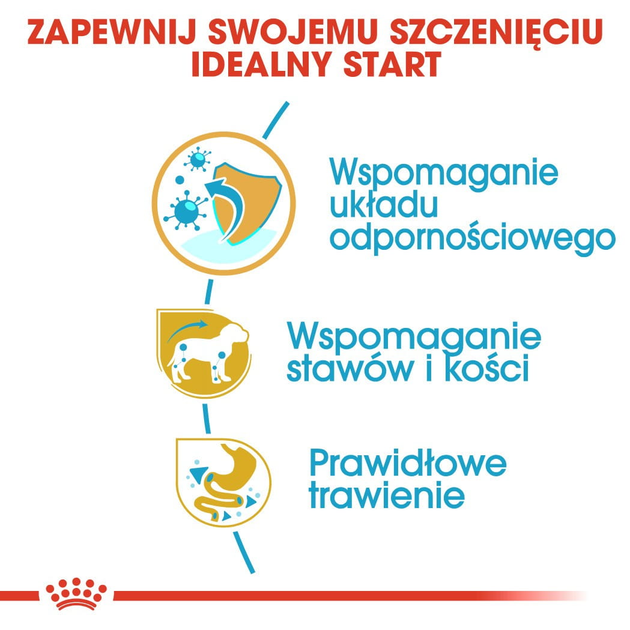 Sucha karma dla szczeniąt rasy jamnik Royal Canin Dachshund Puppy 1.5kg (3182550722575) (24370151) - obraz 4