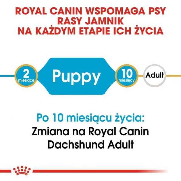 Sucha karma dla szczeniąt rasy jamnik Royal Canin Dachshund Puppy 1.5kg (3182550722575) (24370151) - obraz 5