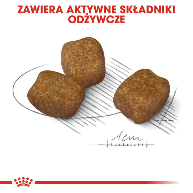 Sucha karma dla psów Royal Canin Mini Dental Care 3 kg (3182550894371) (12210309) - obraz 4