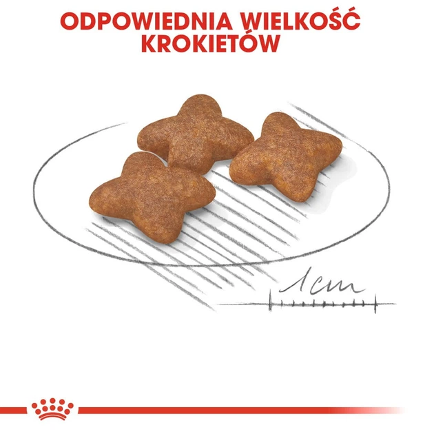 Sucha karma dla psów Royal Canin Mini Adult małych ras powyżej 10 miesiąca życia 4 kg (3182550727822) (727822) (3001040) - obraz 5