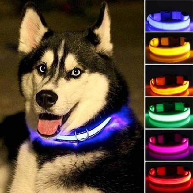 Ошейник с подсветкой для собак с LED лентой USB зарядкой размер L Черно ...