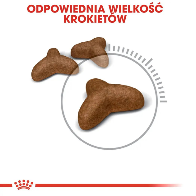 Sucha karma dla kotów Royal Canin Light Weight Care 8 kg (3182550902984) (2524080) - obraz 4