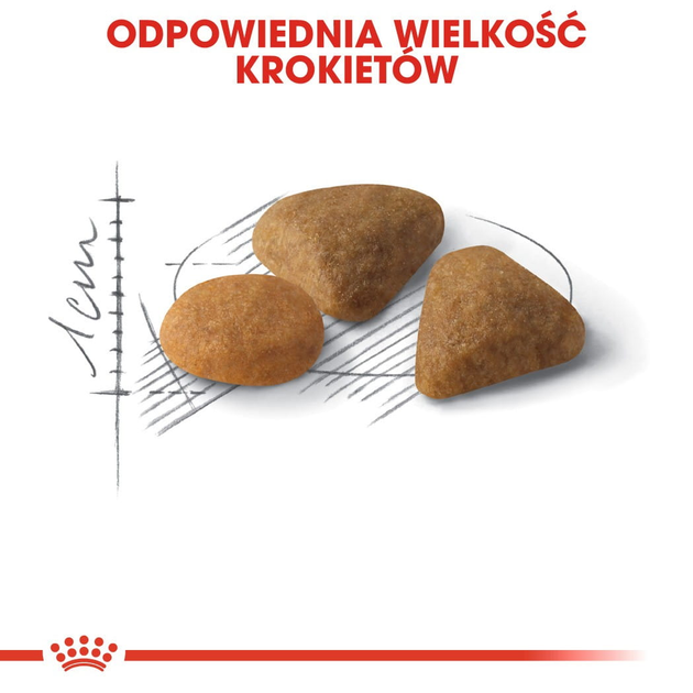 Sucha karma dla kotów Royal Canin Exigent Savor 4 kg (3182550717144) - obraz 4