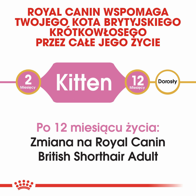 Sucha karma dla kociąt Royal Canin Kitten British Shorthair 2 kg (3182550816533) (2566020) - obraz 3
