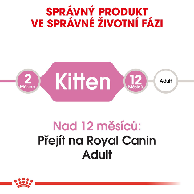 Sucha karma dla kociąt Royal Canin Kitten 2 kg (3182550702423) (2522020) - obraz 3