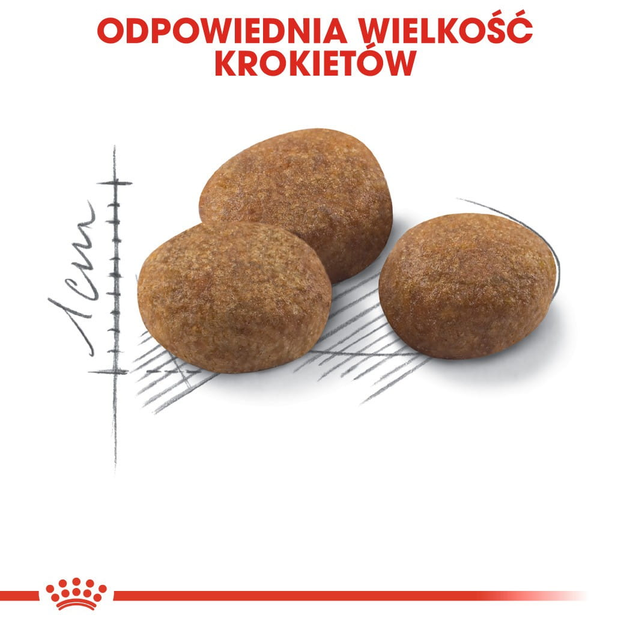 Сухой корм для дорослих стерилізованих кішок Royal Canin Sterilised 7+ 1.5 кг (3182550784566) (2560015) - зображення 5