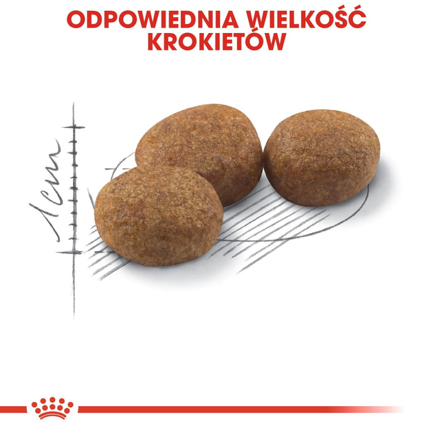 Sucha karma dla dorosłych sterylizowanych kotów Royal Canin Sterilized 2 kg (3182550737593) (2537020) - obraz 5