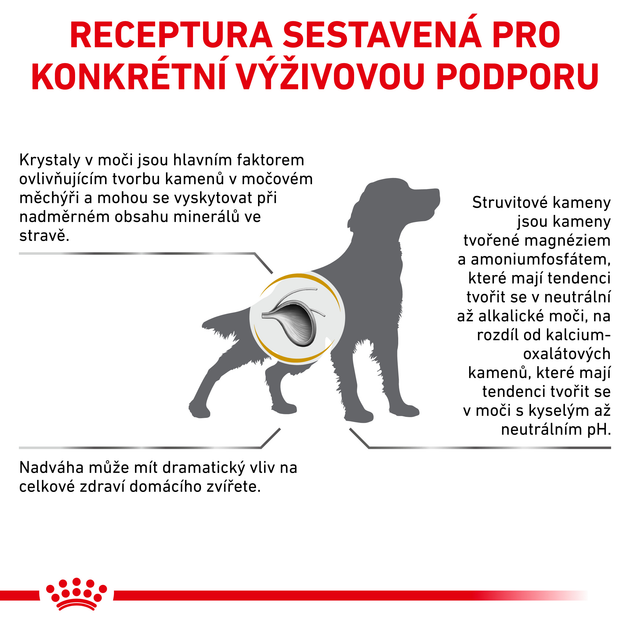 Sucha karma dla dorosłych psów Royal Canin Urinary S/O Moderate Calorie Dog 12 kg (3182550780926) (3800120) - obraz 11