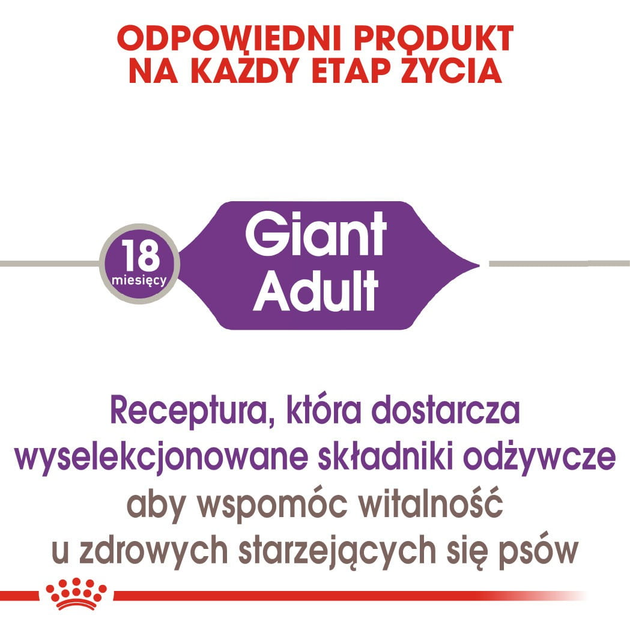 Sucha karma dla dorosłych psów ras olbrzymich Royal Canin Giant Adult w wieku powyżej 2 lat 15 kg (3182550703079) (91970) (3009150) - obraz 3