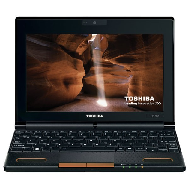 Нетбук 10"Toshiba NB550D(акум.10ч.,2\250Гб,акустика Harman Kardon\HDMI ...