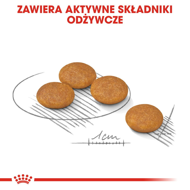 Сухий корм для собак Royal Canin Mini Dermacomfort з подразненою та сверблячою шкірою 3 кг (3182550893916) (2441030) - зображення 5