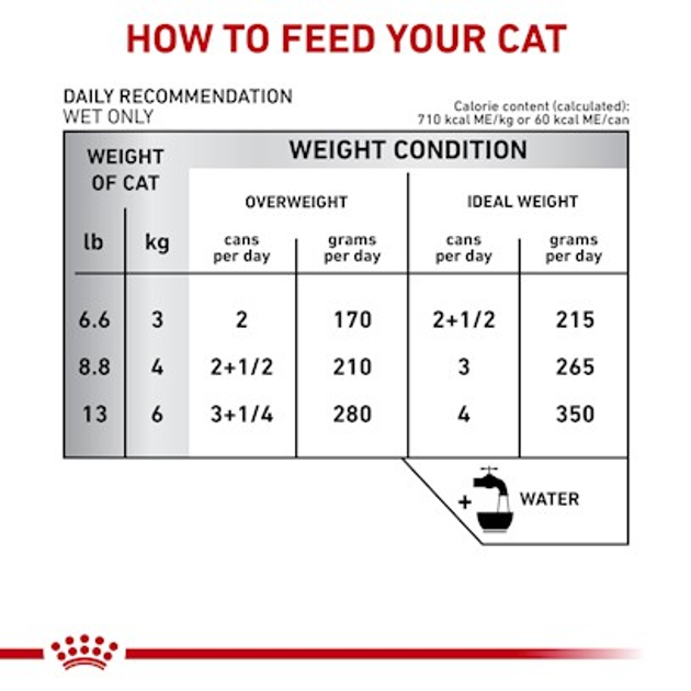 Вологий корм для кішок із проблемами шлунка ROYAL CANIN Vet Gastrointestinal шматочки в соусі 12x85г (9003579013601) - зображення 6