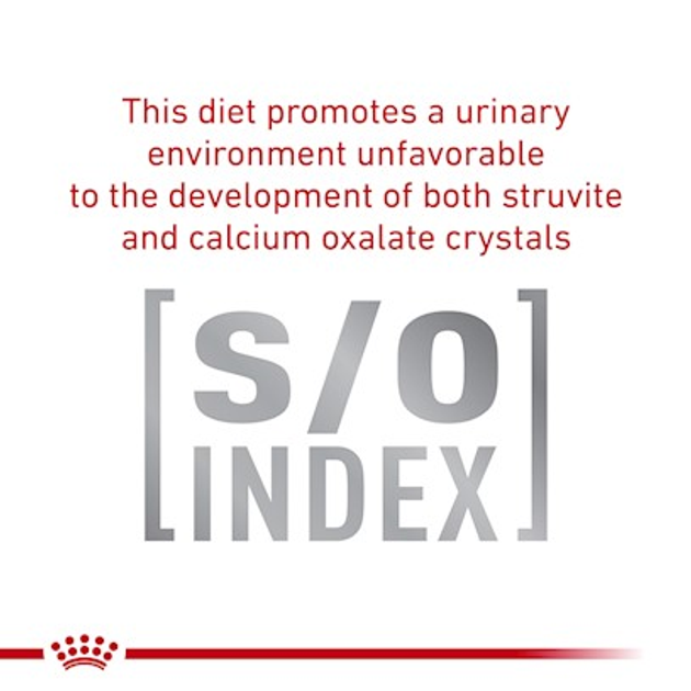 Вологий корм для кішок із проблемами шлунка ROYAL CANIN Vet Gastrointestinal шматочки в соусі 12x85г (9003579013601) - зображення 7