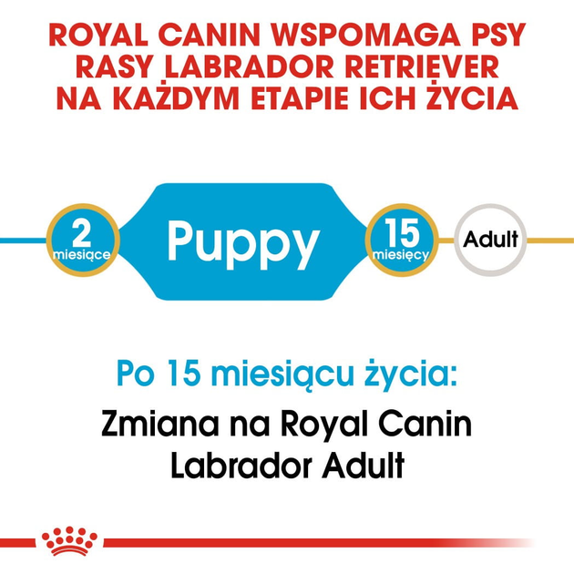 Sucha karma pełnoporcjowa dla szczeniąt Royal Canin Labrador Retriever Puppy dla rasy labrador retriver do 15 miesiąca życia 3 kg (3182550725507) - obraz 3
