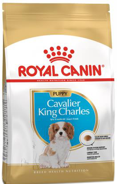 Sucha karma dla psa Royal Canin BHN Cavalier King Charles Spaniel Puppy - sucha karma dla szczeniąt - 1,5kg (3182550813051) - obraz 1